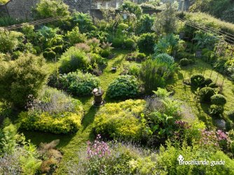 Kalon gwez, Jardin de l'Arbre de Vie