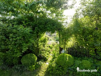 Kalon gwez, Jardin de l'Arbre de Vie